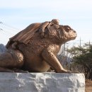 금두꺼비 이미지