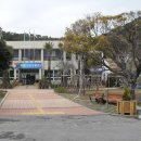 고박사