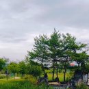 패밀리파크 캠핑장 이미지