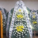 육육플라워