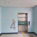 서울용동초등학교 이미지