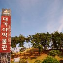 대가야센터-11 이미지