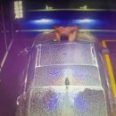 보배자동차세차장 이미지