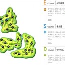 신원레저 이미지
