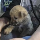 충청북도 보은군 보은읍 삼산로 18 이미지