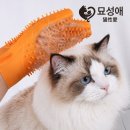 그루밍 - 전주시 덕진구 가재미로 26 | 그루밍