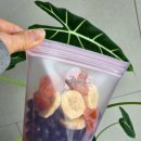 🟢환경을 생각한 선택, Zip Top 실리콘 용기 솔직 사용 후기