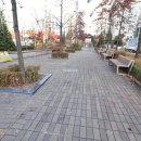 이지더원부동산공인중개사사무소 이미지