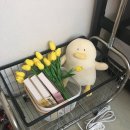 명학역 버스정류장 | 안양 고시원 가격 합리적인 ‘오소르 원룸텔’ 내돈내산 6개월 후기