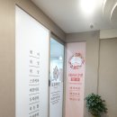 케이디펫 네이버블로그