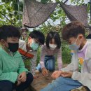 김천초교병설유치원 이미지