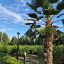 호도귤정원 이미지