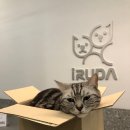 다호동물병원 이미지