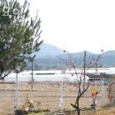 맥국길1 이미지