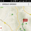 도상농장 티스토리
