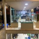 코보아쿠아 이미지