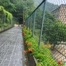 함박봉로 이미지