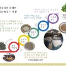 발효농법- 맥반석 원석: 물리적 공정→화학정 공정→생물적 공정(발효)→ 짧은 기간에 식물 흡수 이미지