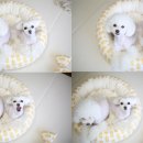 풀잎하우스 이미지