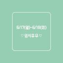 그리다네일(Greeda nail)
