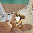 브레드 이발소 타운 시화점 후기(내돈내간)