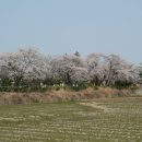 행안초등학교 이미지