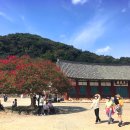 선운사