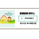 영랑호수윗길 | 강원도 속초 스타벅스 영랑호 리조트점 방문 및 영랑호수 윗길 산책 후기