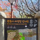 한라산국립공원관음사지구야영장 | 제주도 가을 단풍 명소 가을 캠핑 추천 한라산 관음사지구 야영장