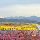 송이공원 화장실 이미지