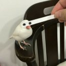 지，이－ Daum카페