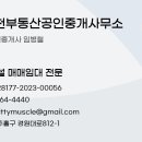 인천 주안 시민공원역 근처 b1 전용 약52평 월100 이미지