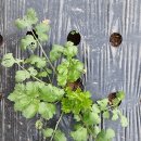 병원농장 이미지