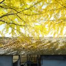 의동마을 이미지