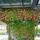 고잔역건너편 이미지