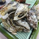 중앙시장 어울림센터 | 강원도 속초 | 고민 끝에 고른 싱싱한 횟집, 중앙시장 회센터 잠수부횟집 솔직 후기