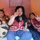 용인대 다정태권도 이미지