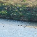 원평공원 이미지