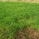 달래네 하우스 이미지