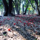 남원읍-123 이미지