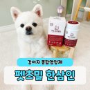 펫츠밀 | 펫클럽 한삼인 펫츠밀 강아지영양제 노령견영양제
