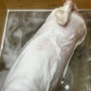 두리몽실