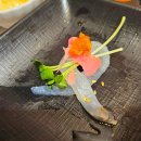 4464 | 부산 경성대 푸짐한 대방어맛집 미야미야 회포차 방문 후기