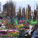 거창시장 이미지