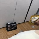 (주)만도이엔씨 | [블챌] 주간일기 22.08.07~22.08.13