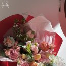 눈록