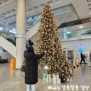 한라산 콘도미니엄 | 현실을 벗어나 귤국으로 떠나보자! - 제주도 여행 1일차