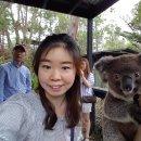 리언파크 이미지