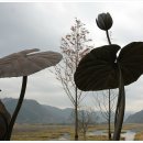 물의합창 이미지