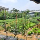 영이농장 이미지